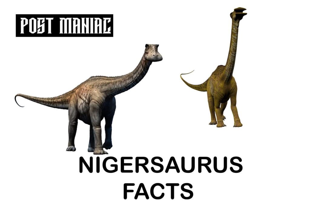 Which dinosaur had 500 teeth