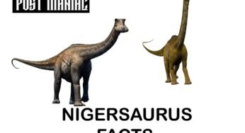 What Dinosaur Has 500 Teeth? | Nigersaurus Amazing Facts