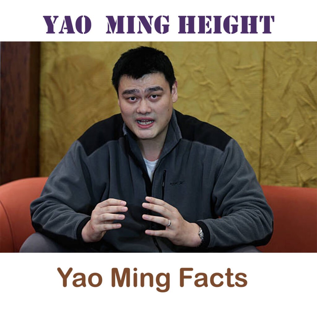 yao ming height