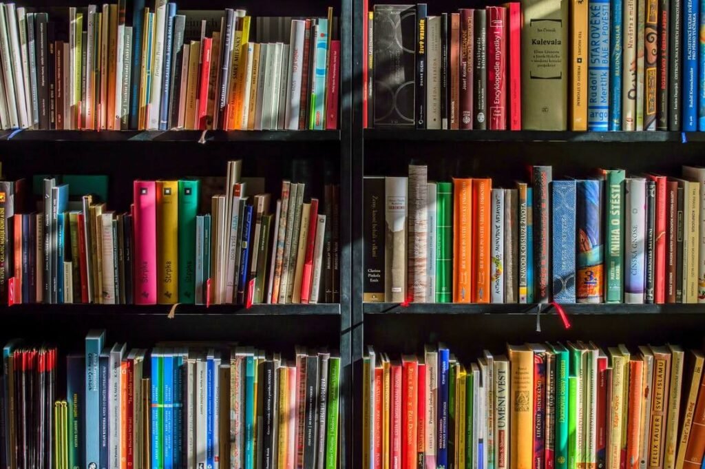 Education Book Shelf