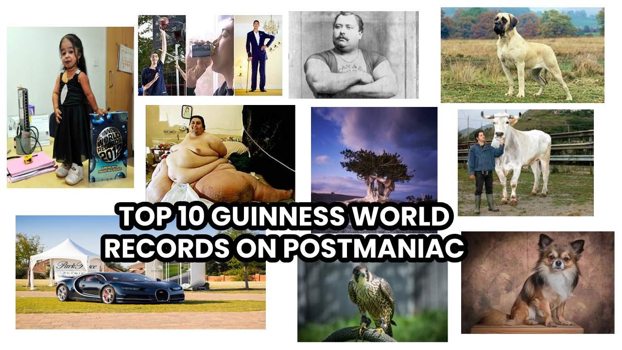 top 10 guinness world records by postmaniac