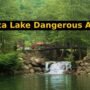 sapanca lake's dangerous animals